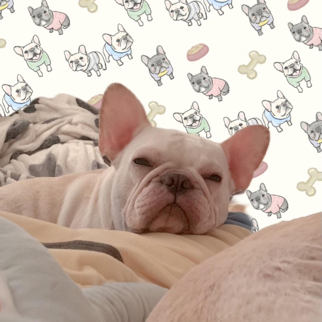 一语惊醒梦中人