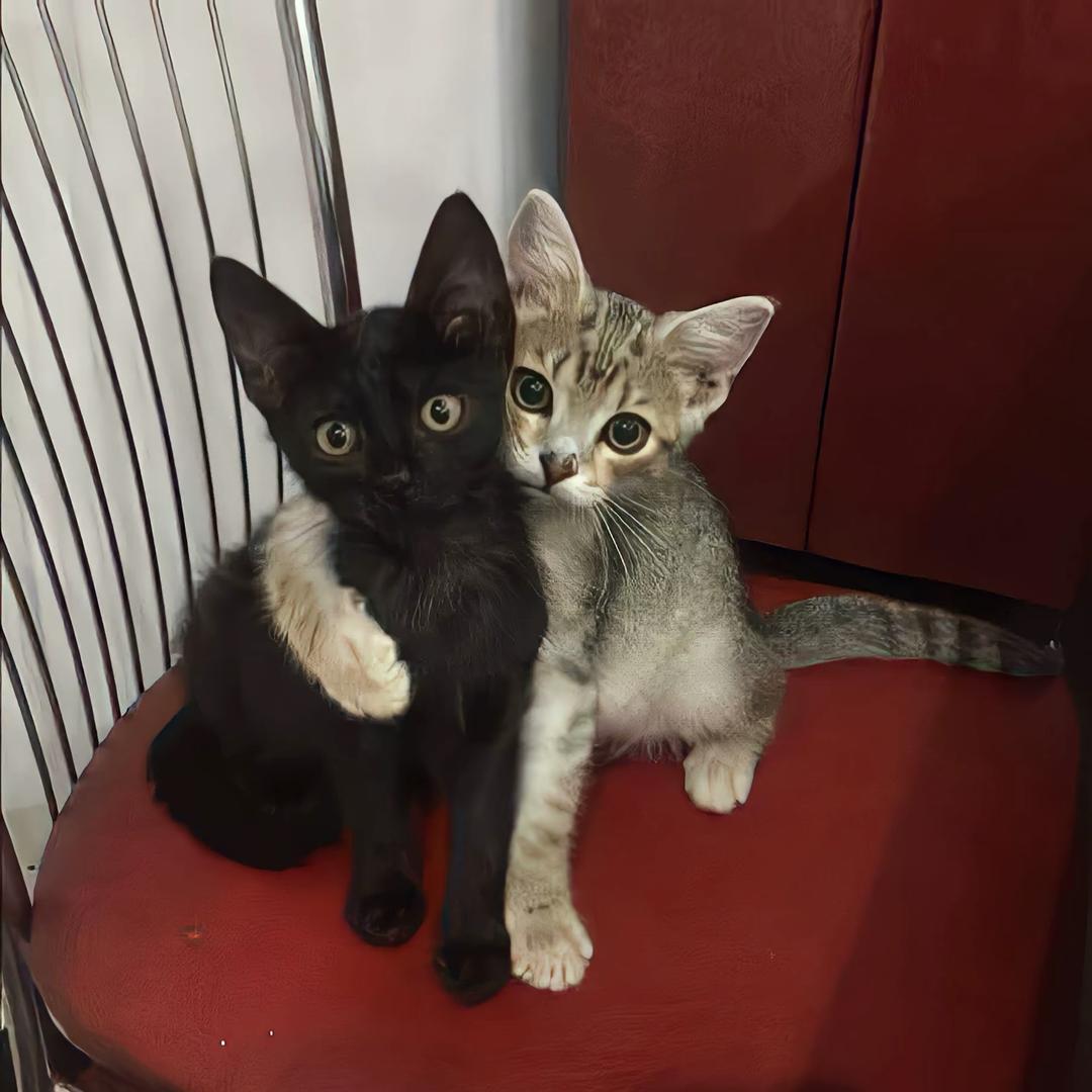 ^_^