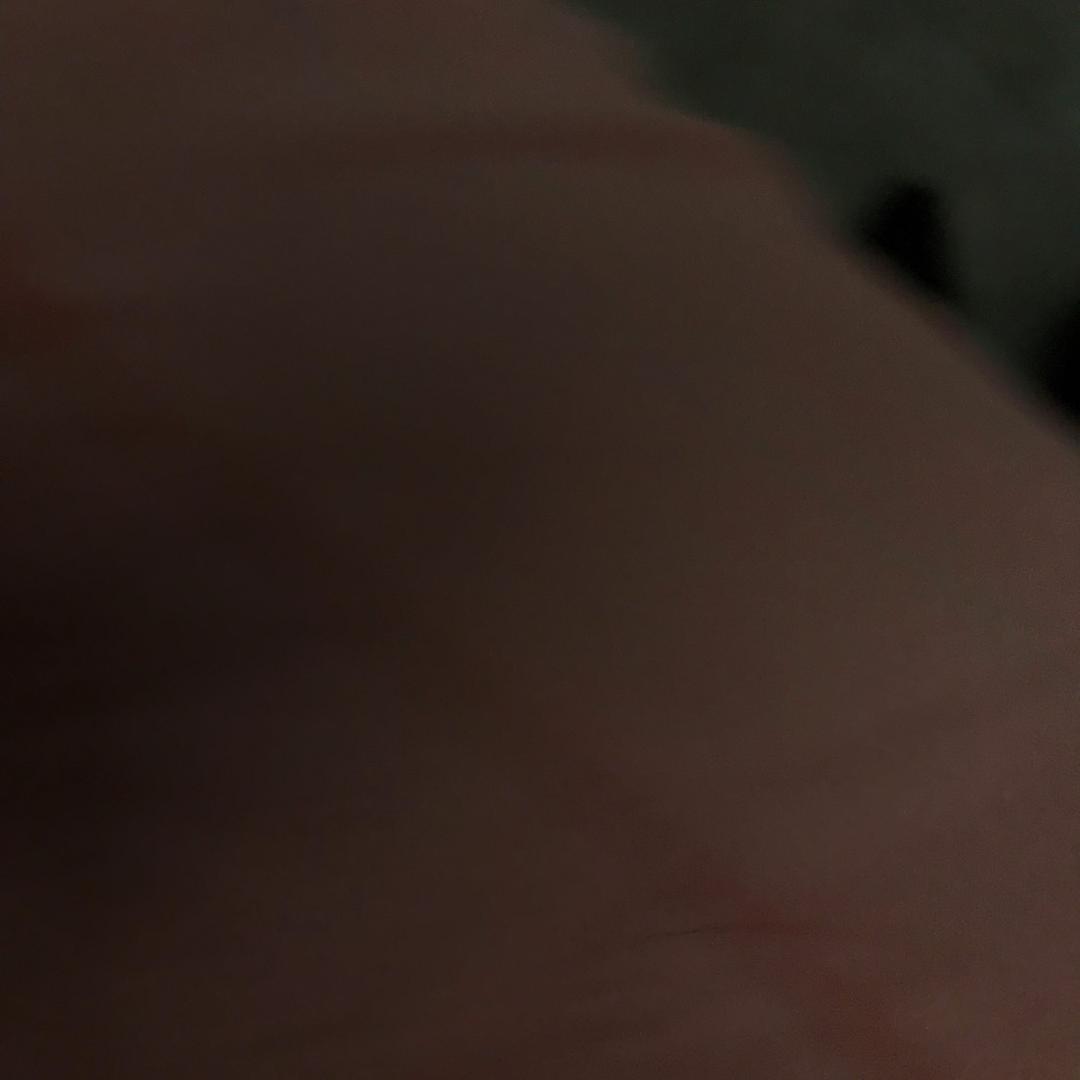 每天在线观看