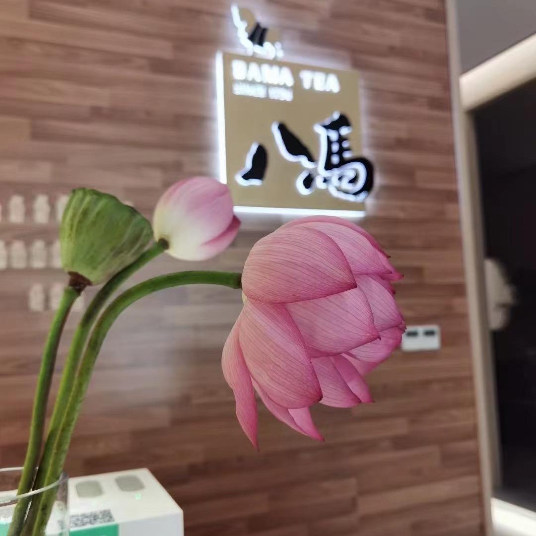 八马茶业合生店