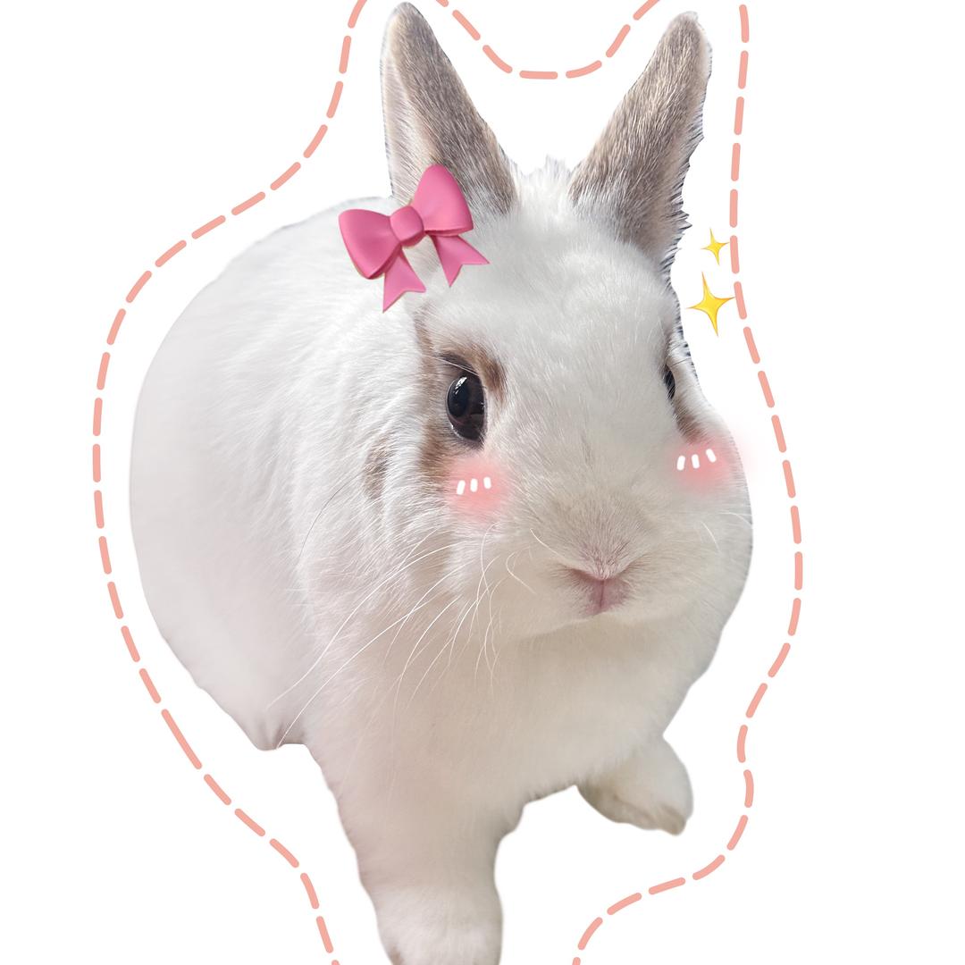 万元户🐰叽