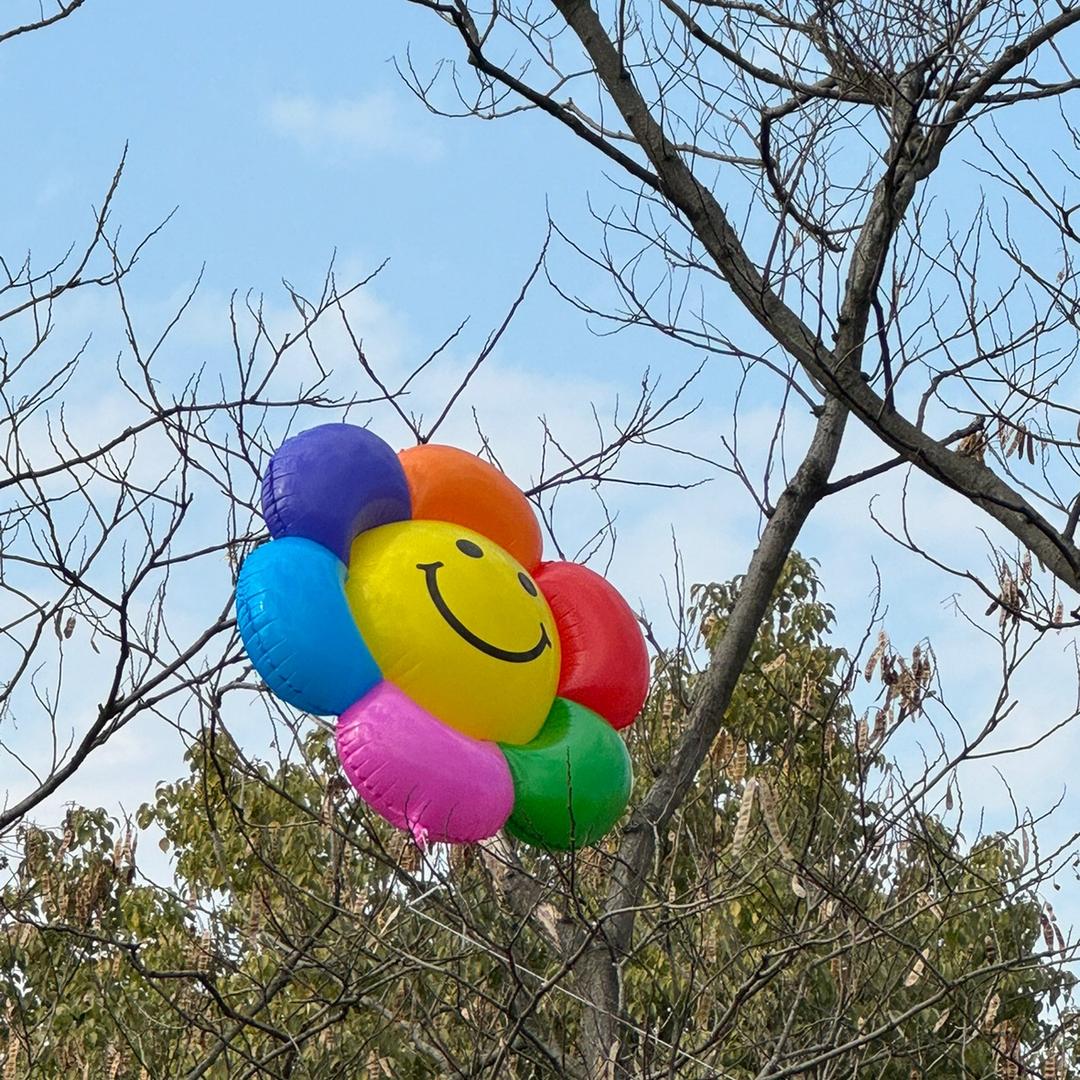 哈哈哈哈哈哈哈哈