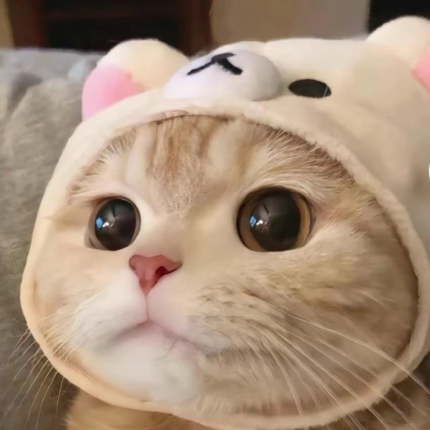 曦易潇