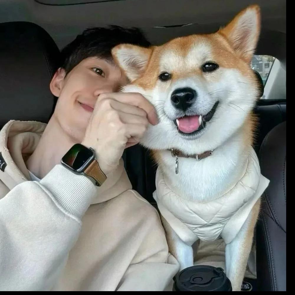 青衫忆