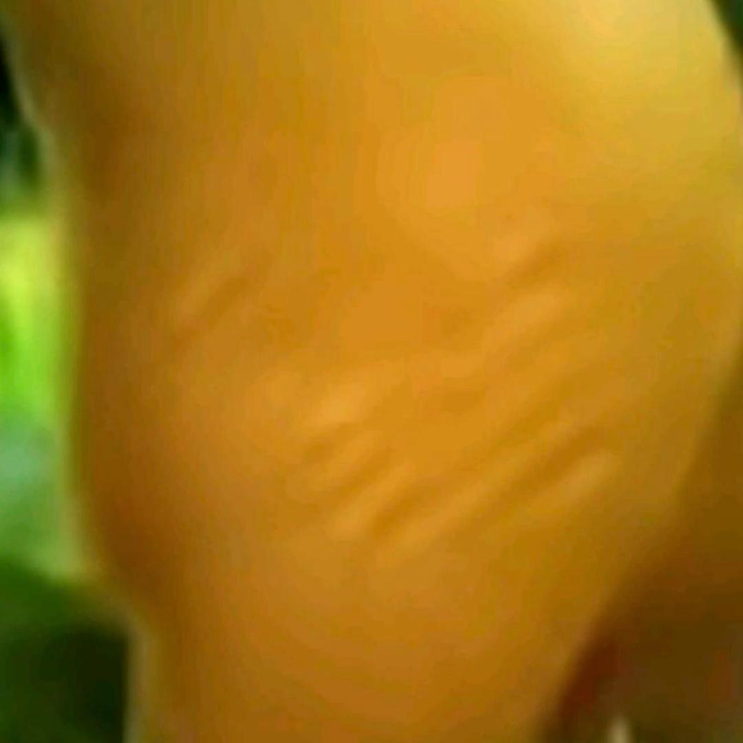 ㅤㅤㅤㅤㅤㅤㅤㅤㅤㅤㅤㅤㅤ