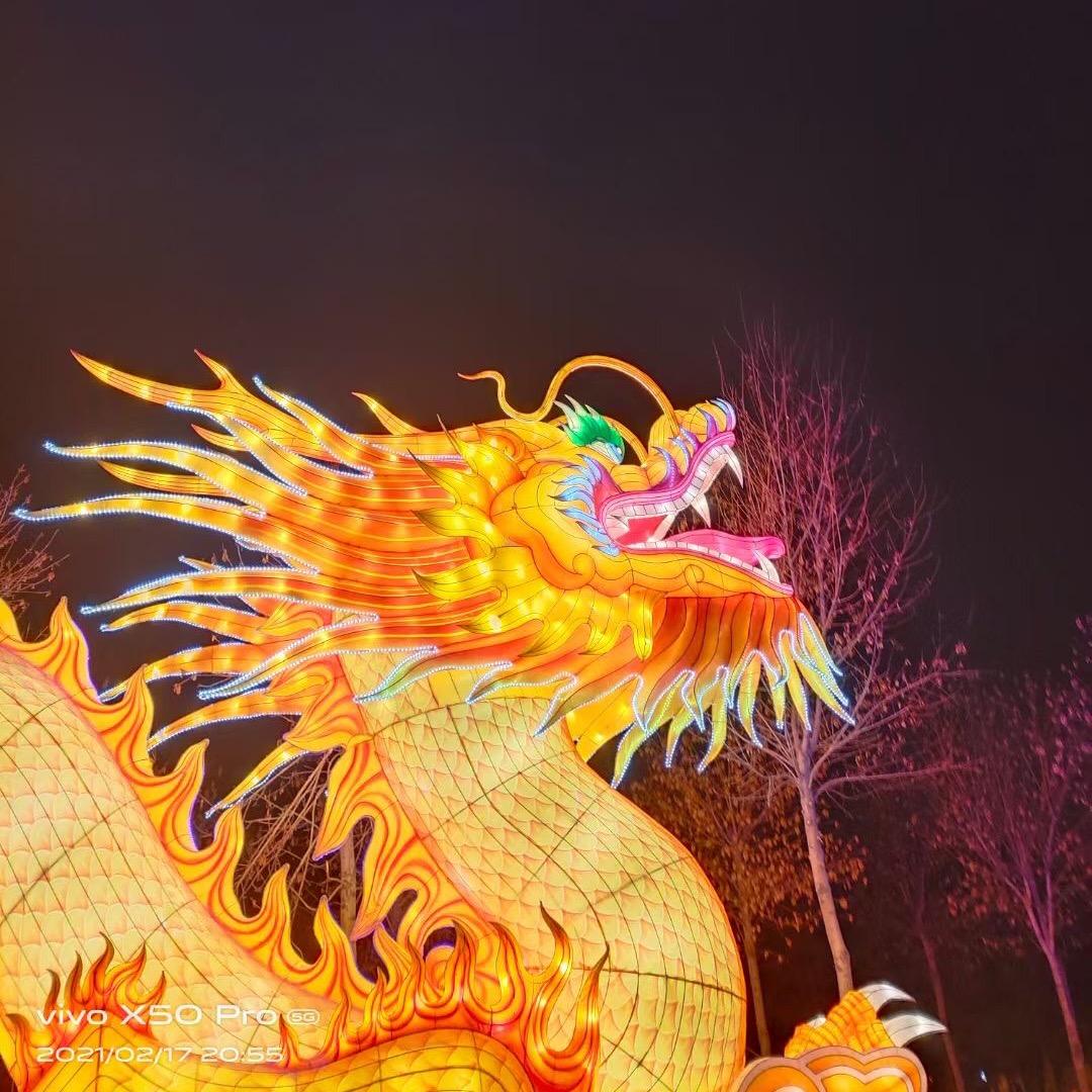 北葵向暖