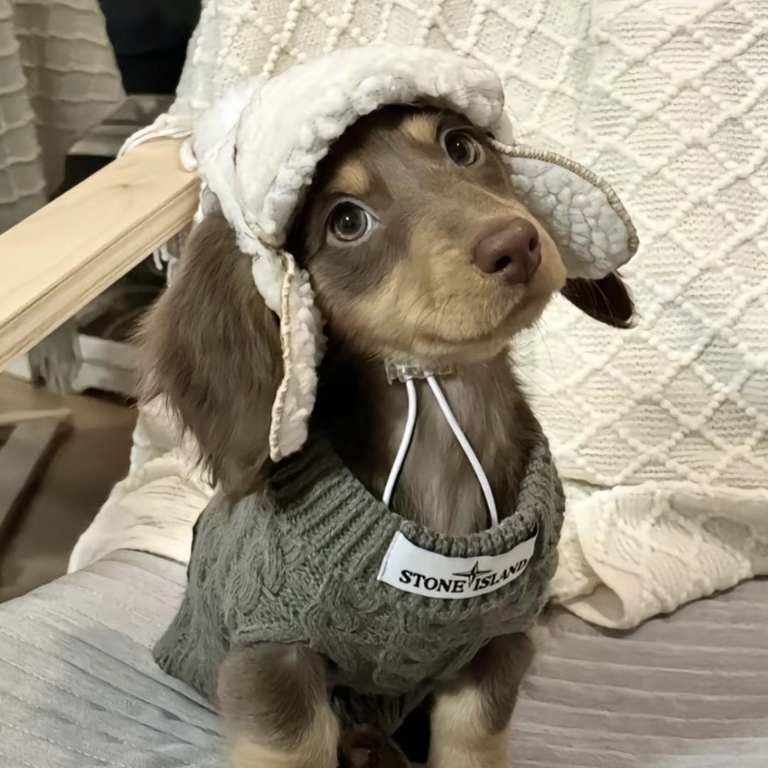 👂