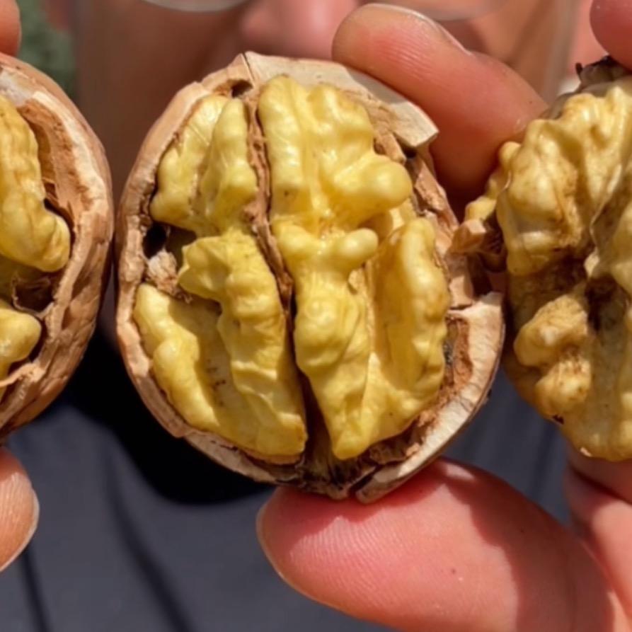 新疆兴农润疆特产店