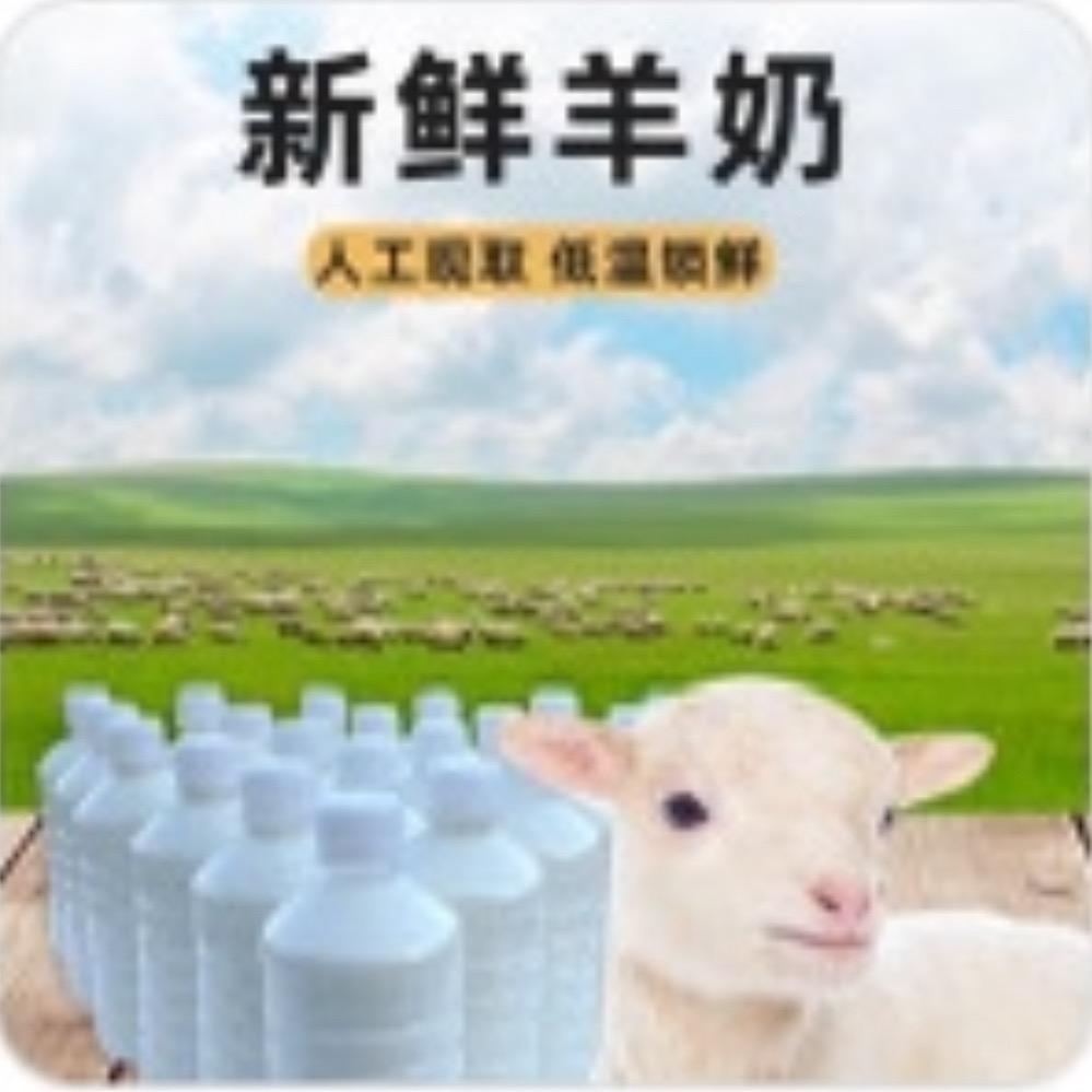 每日鲜羊奶