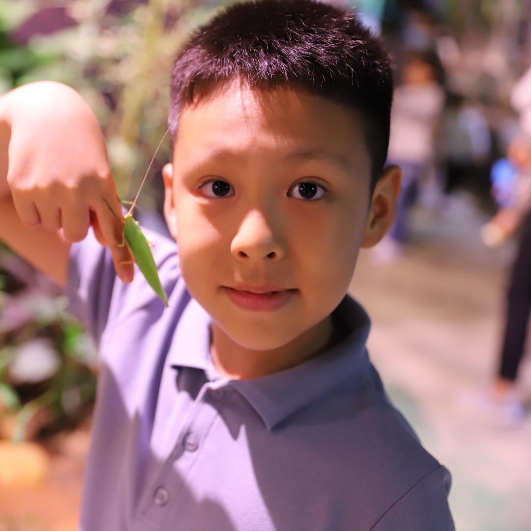 柒柒的昆虫世界
