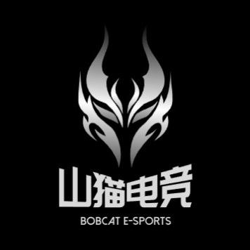 山猫电竞护航