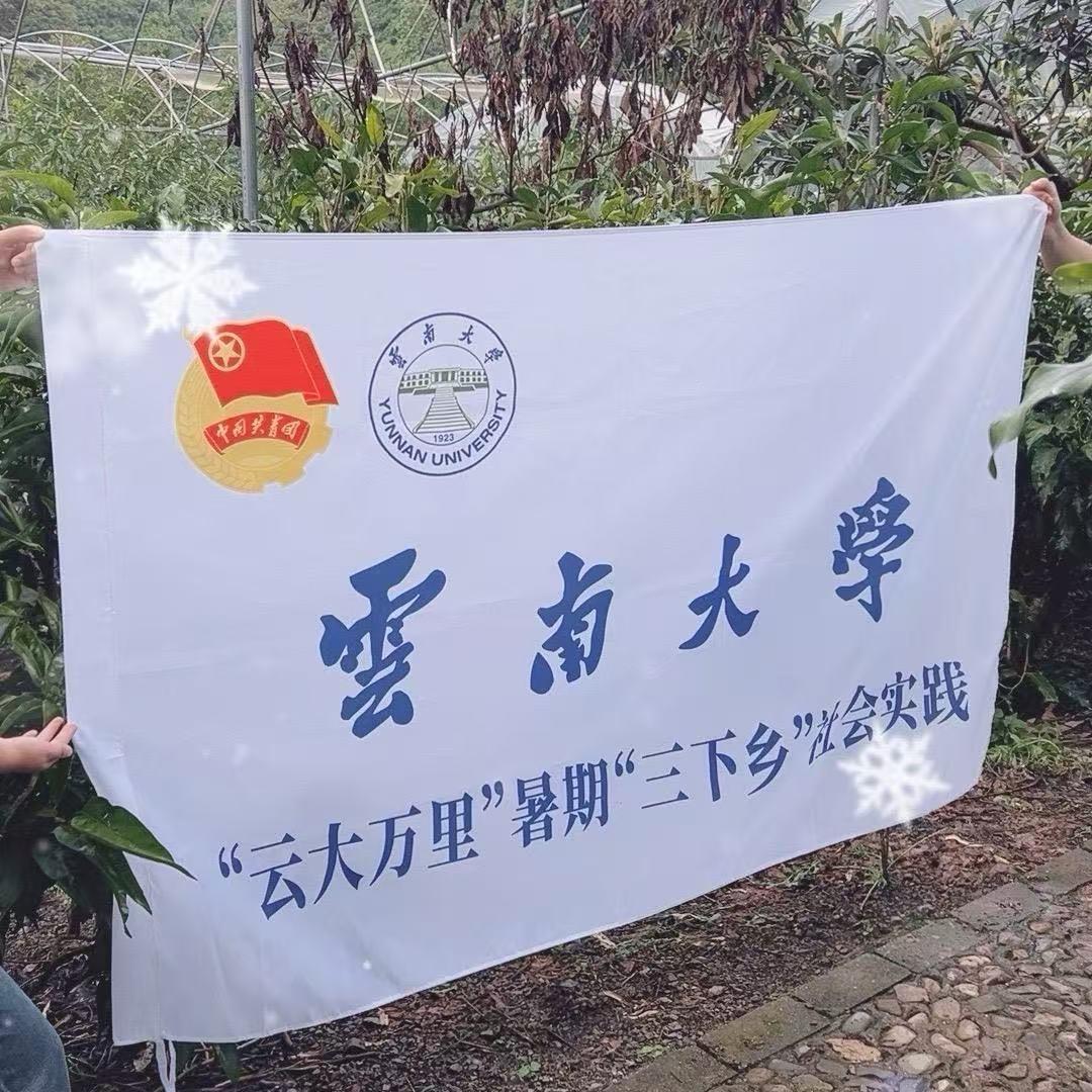 三下乡“甜”野仙踪团队