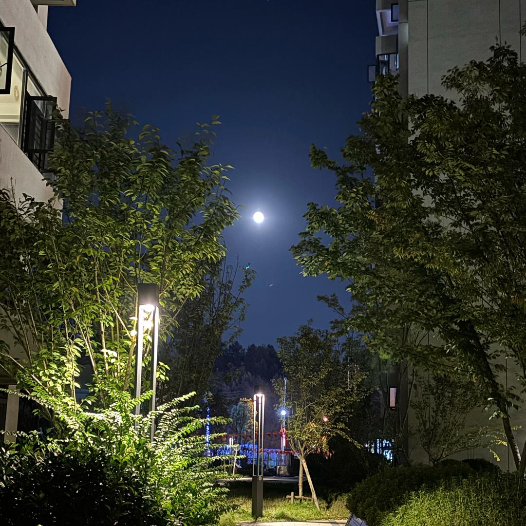 有风无风皆自由