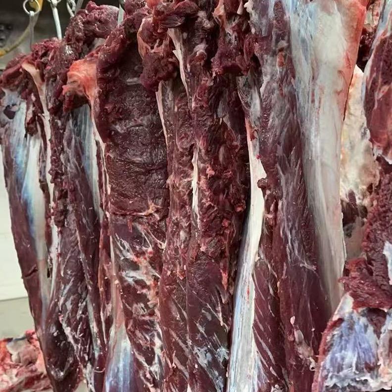 贵州安顺关岭小黄牛