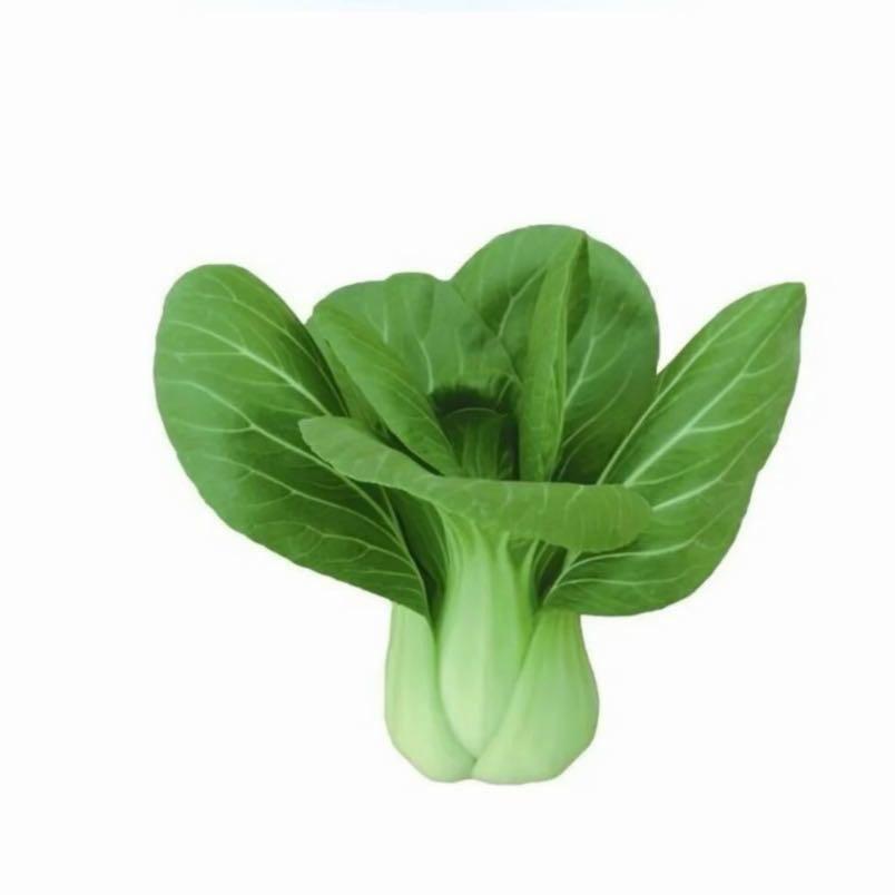 大鲁