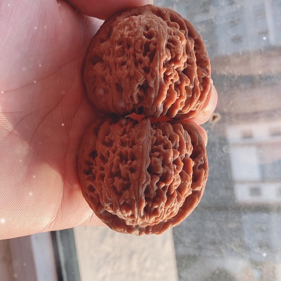 核泰缘