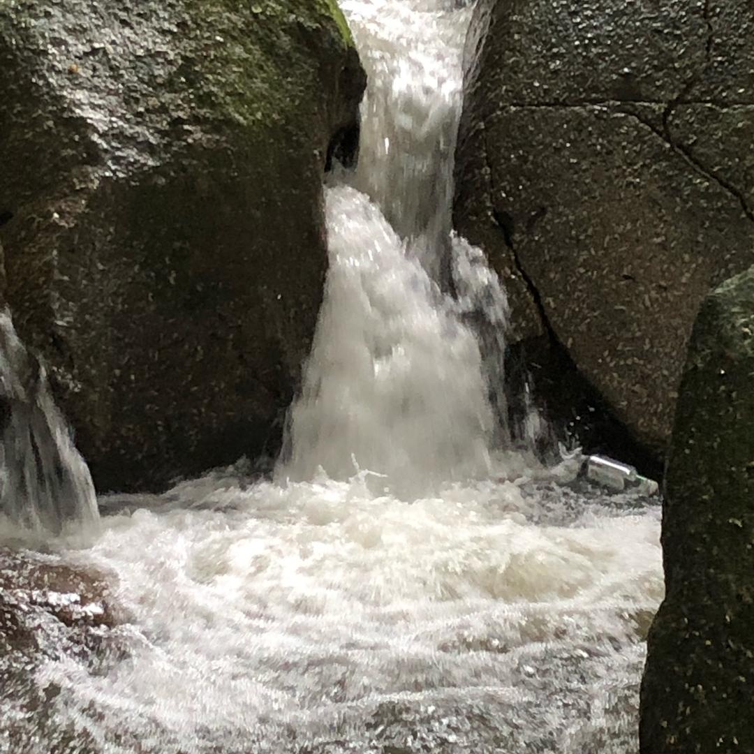 本号不上了！谢谢大家支持！