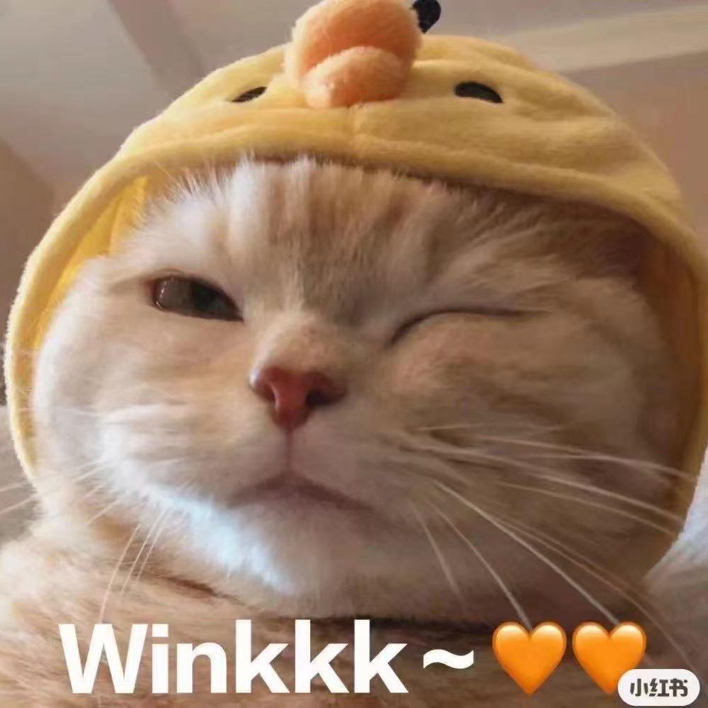 奥特曼打小怪兽👾