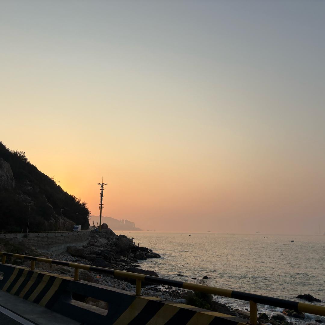 富贵花