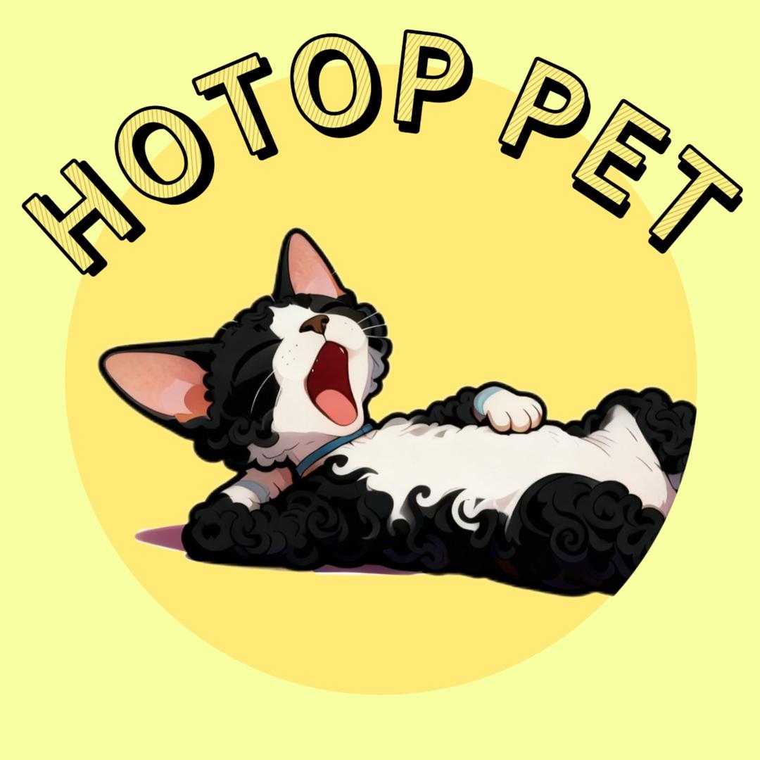 【热宠】德文卷毛猫 小鱼