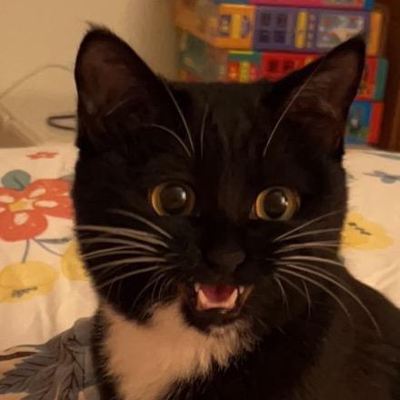 小小小小柠檬🍋