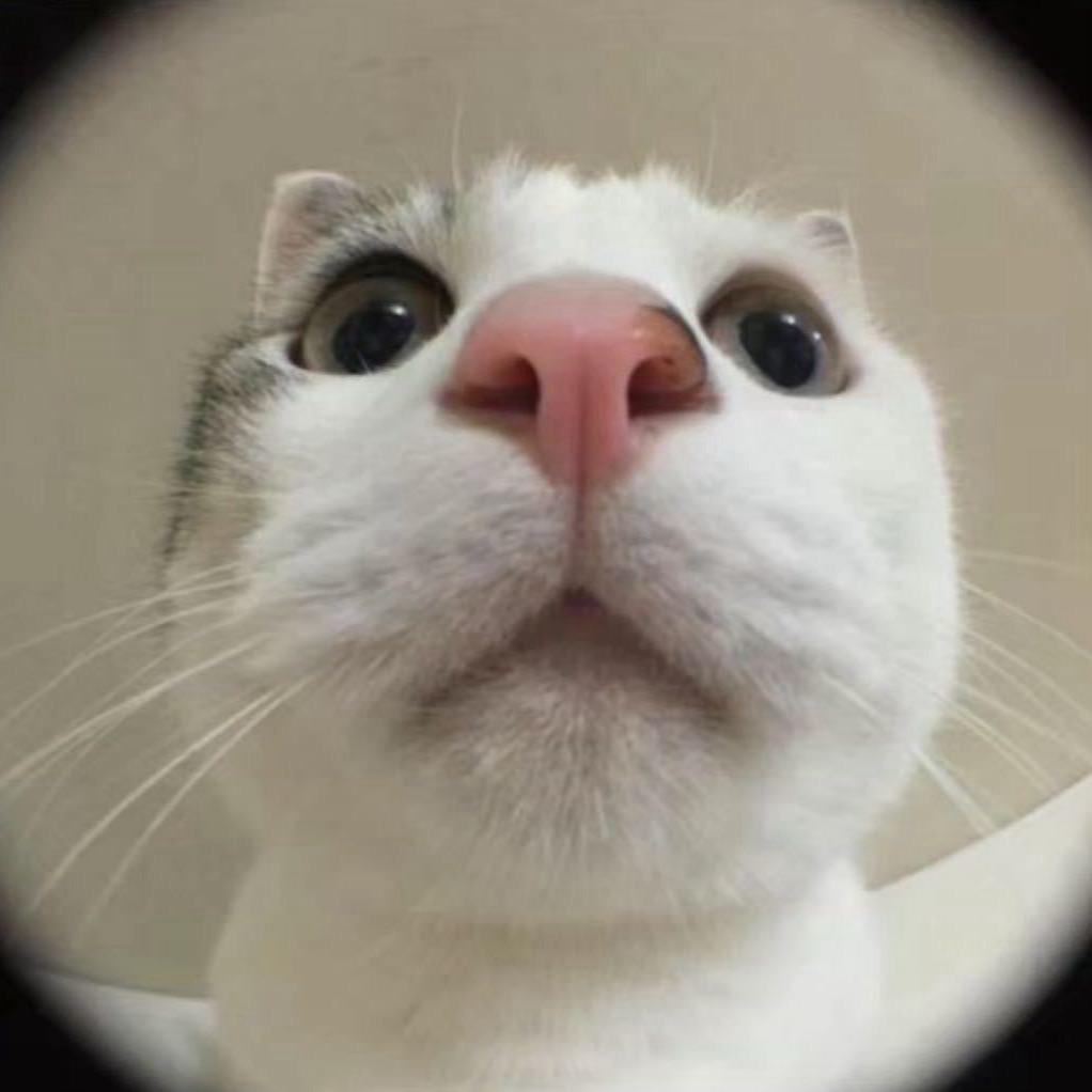 𝐉𝐞𝐨𝐧𝐠𝐲𝐮𝐧