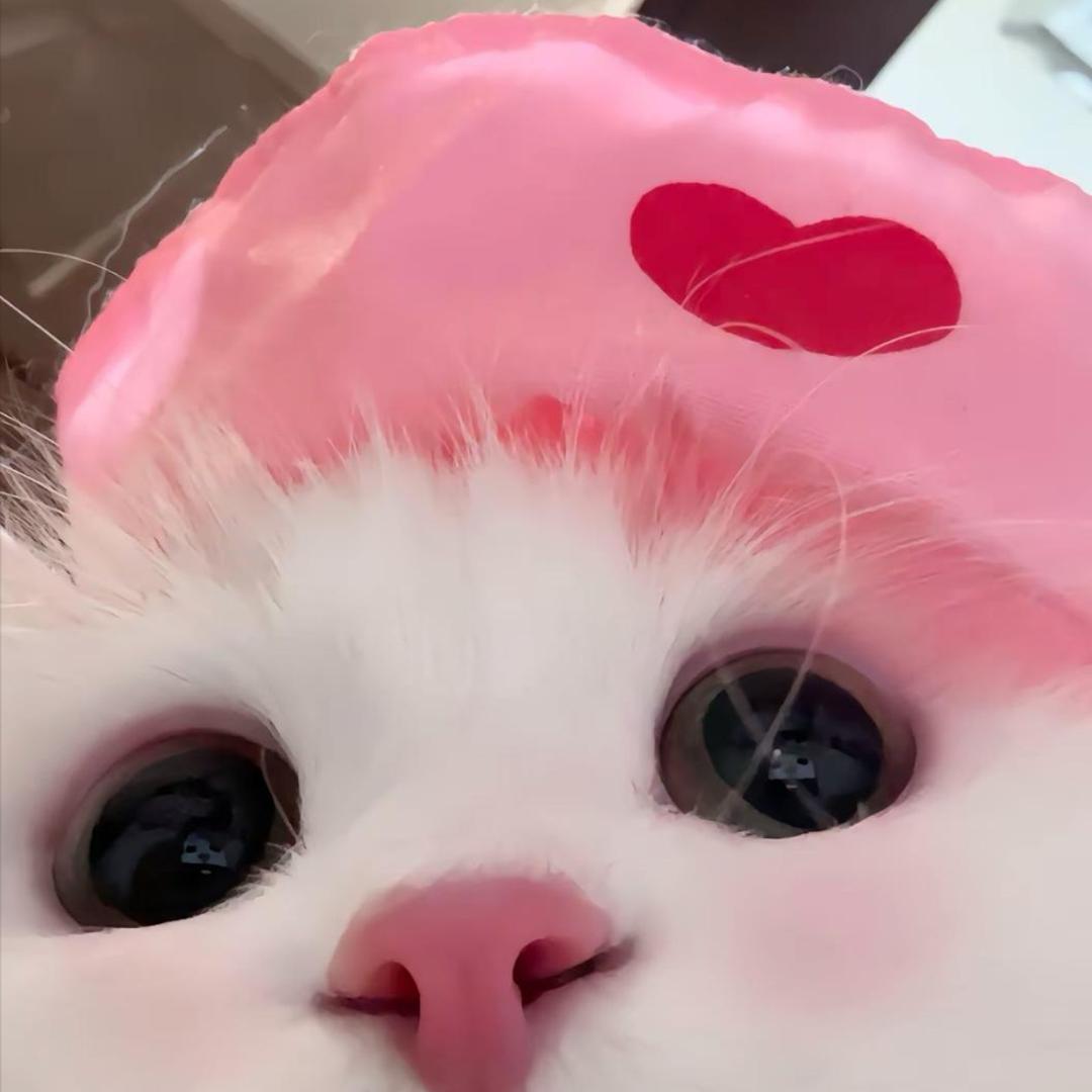 再也不熬夜
