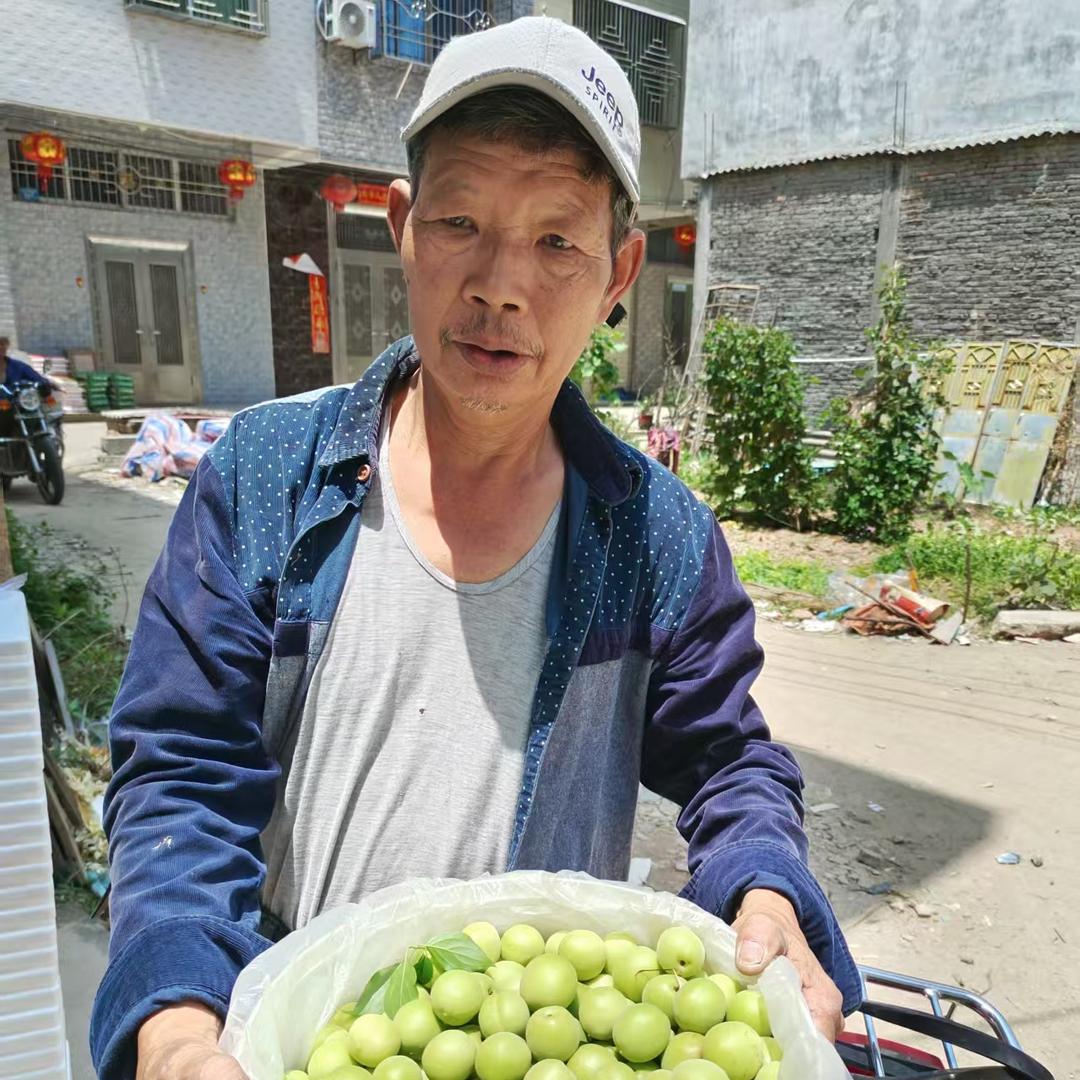 梅好时光鲜果