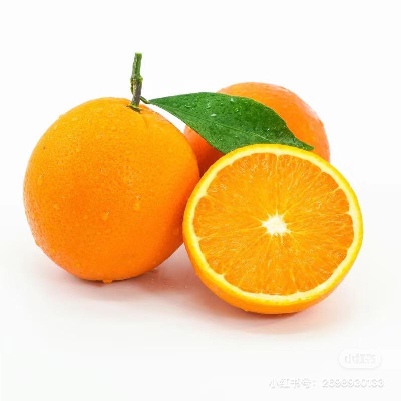 橙子🍊