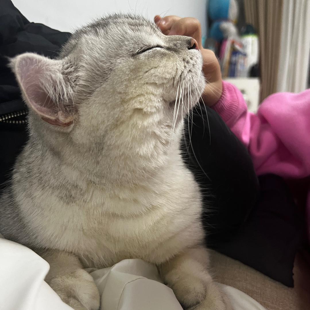 汤圆很圆儿