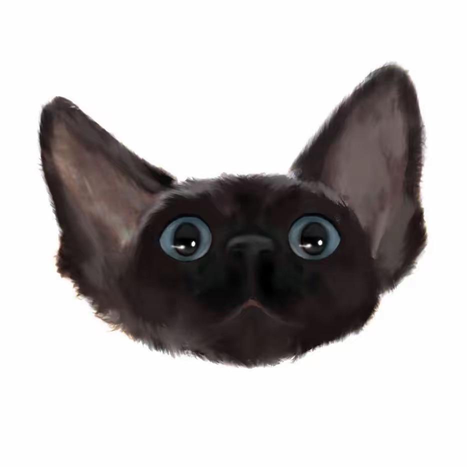 呆哪儿德文猫舍杭州