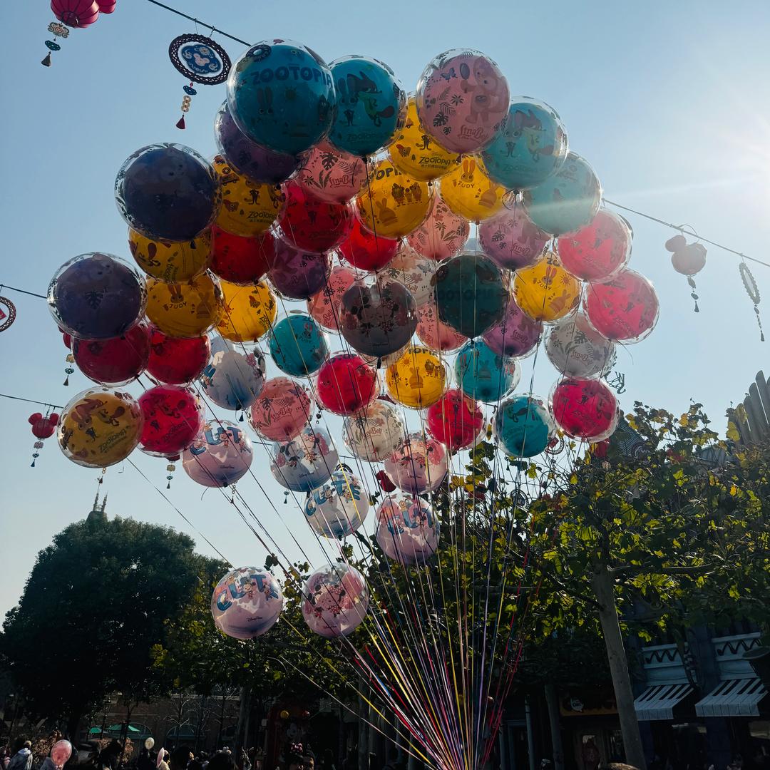 蛋蛋是个金牛座♉️