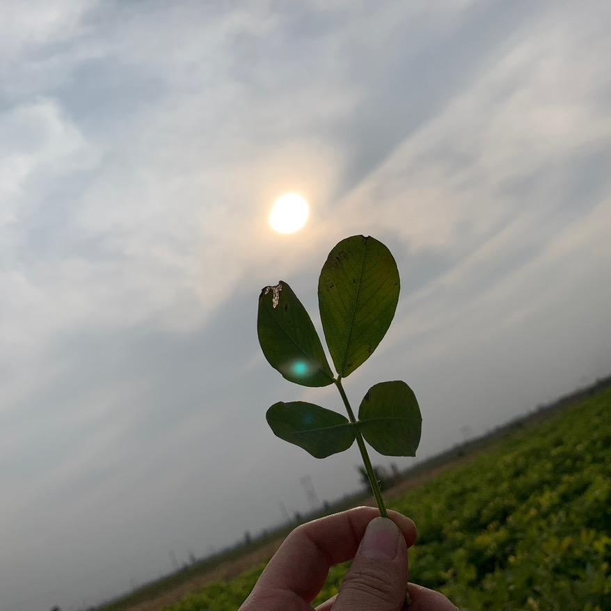 睡觉睡不着❗️