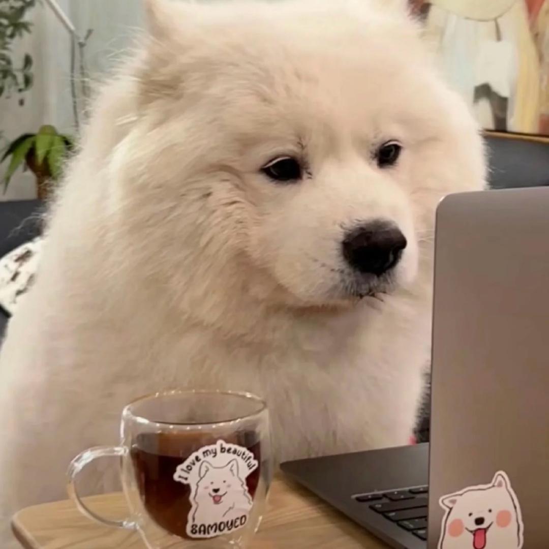 我叫ff