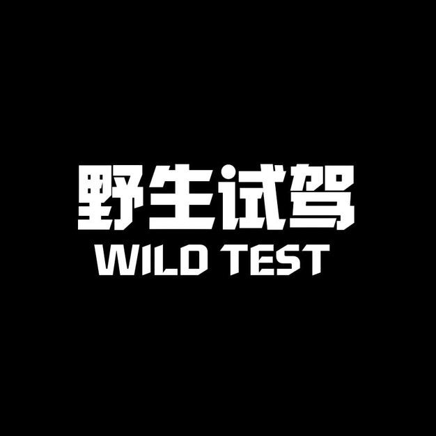 野生试驾@抖音