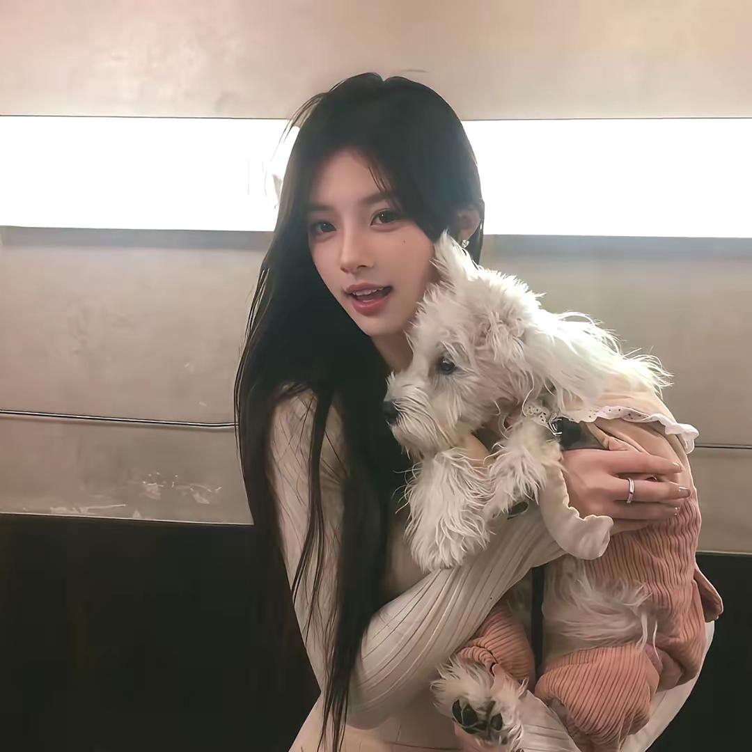 小小羊