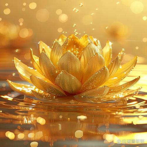 封丘县海角商贸行