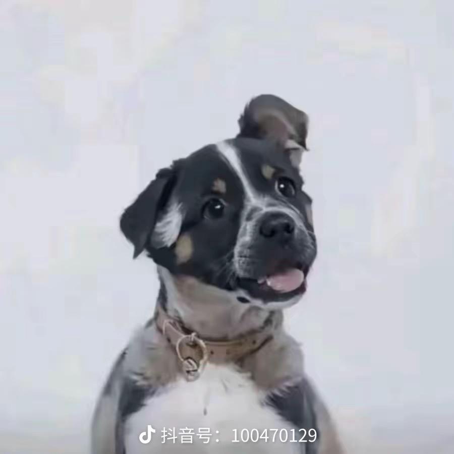 苦瓜黄豆排骨汤