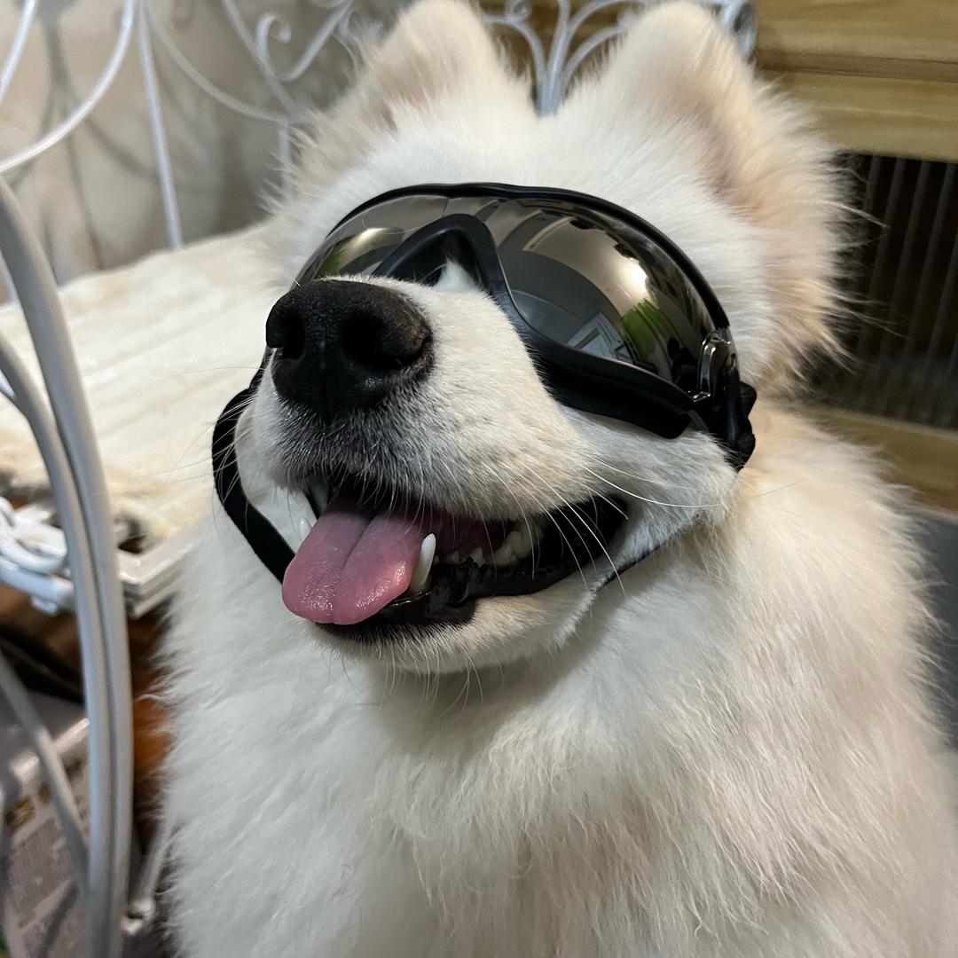 Liu 百万耶💨