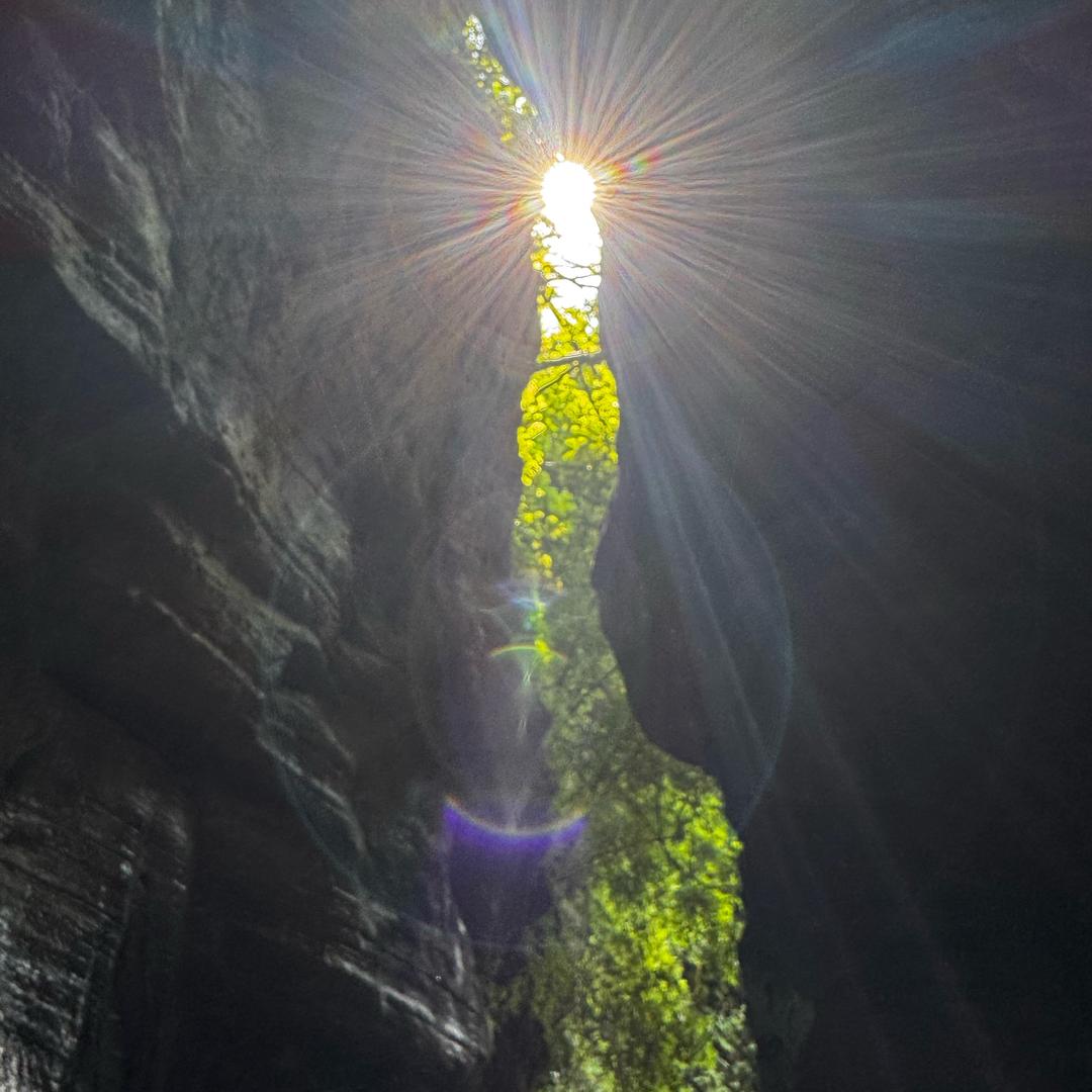 💫大梦想家