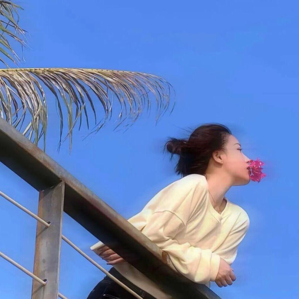 柇荟.