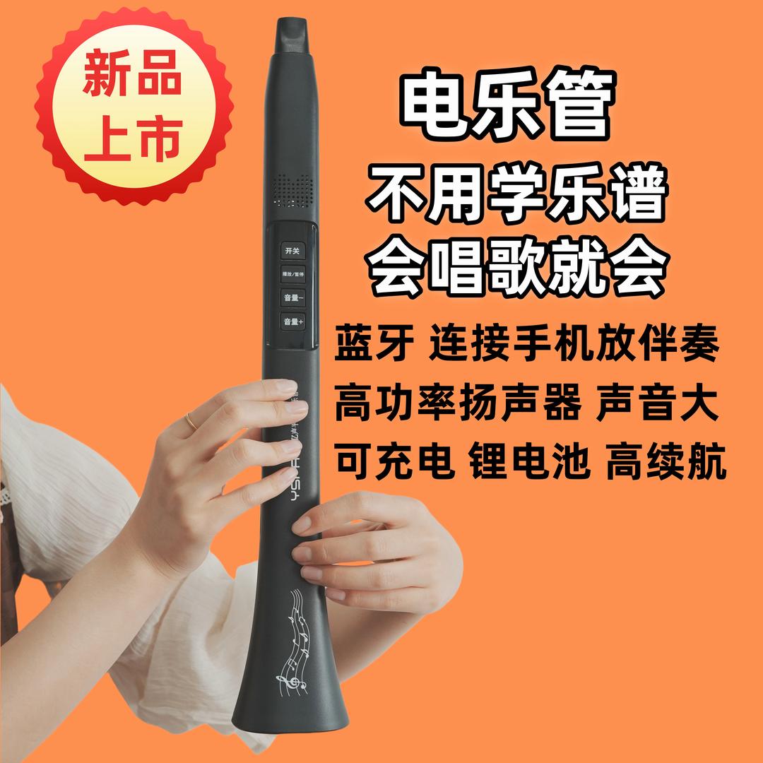 新型笛子2号