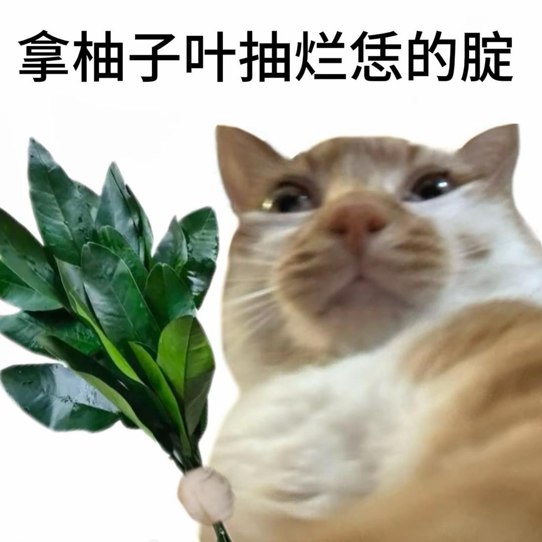 妮妮🪐(我上来就是一把新鲜萝柚叶)