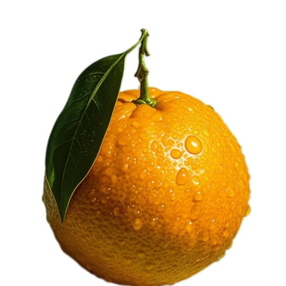函