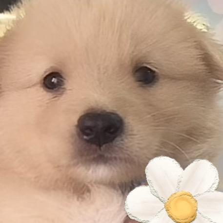 可乐是只修勾