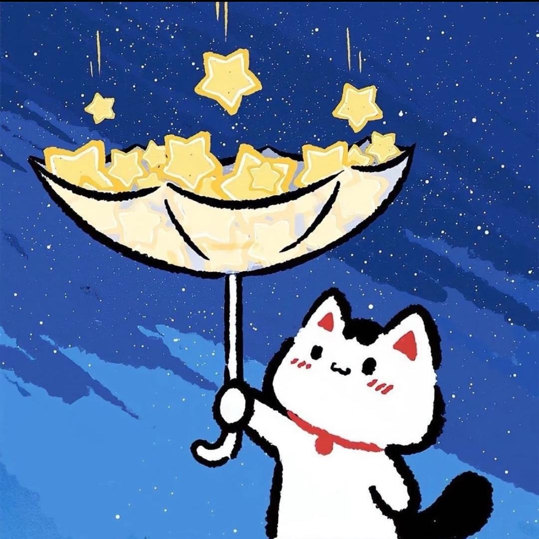 ✧攒一口袋星星✧