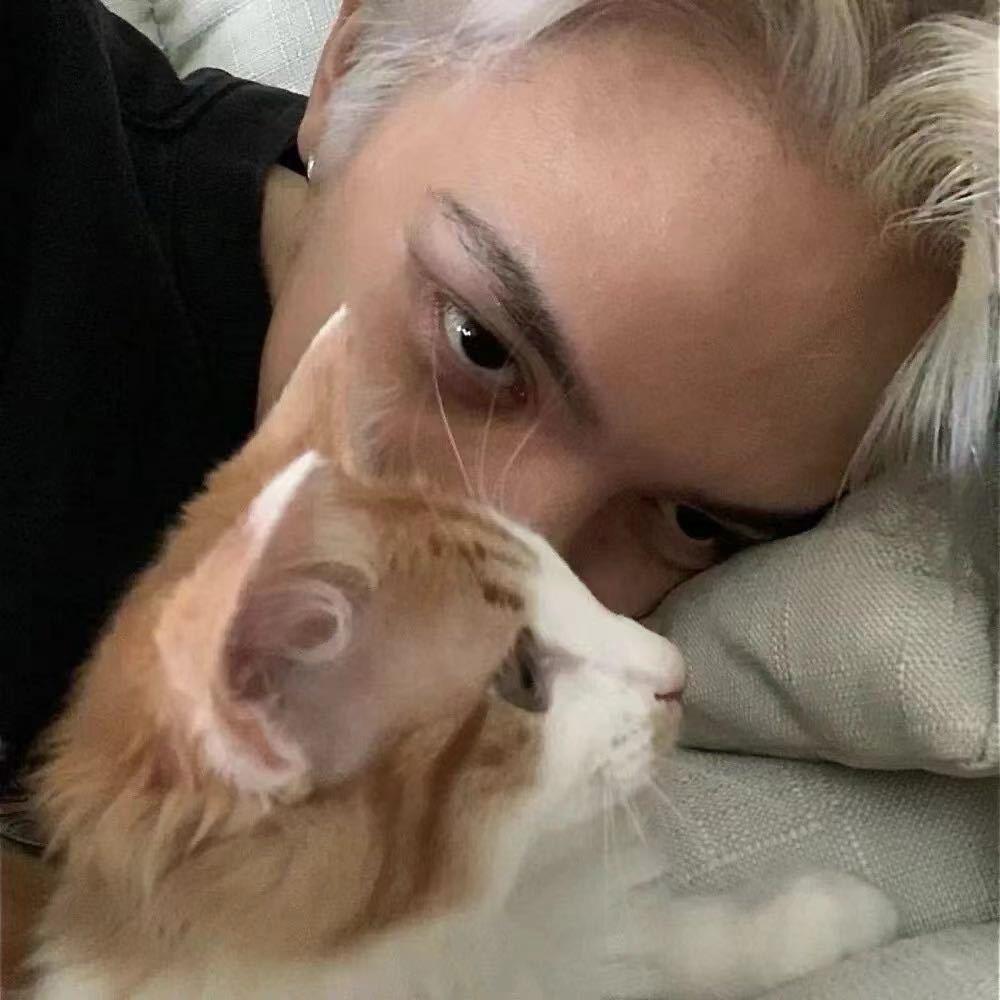ㅤ不说晚安