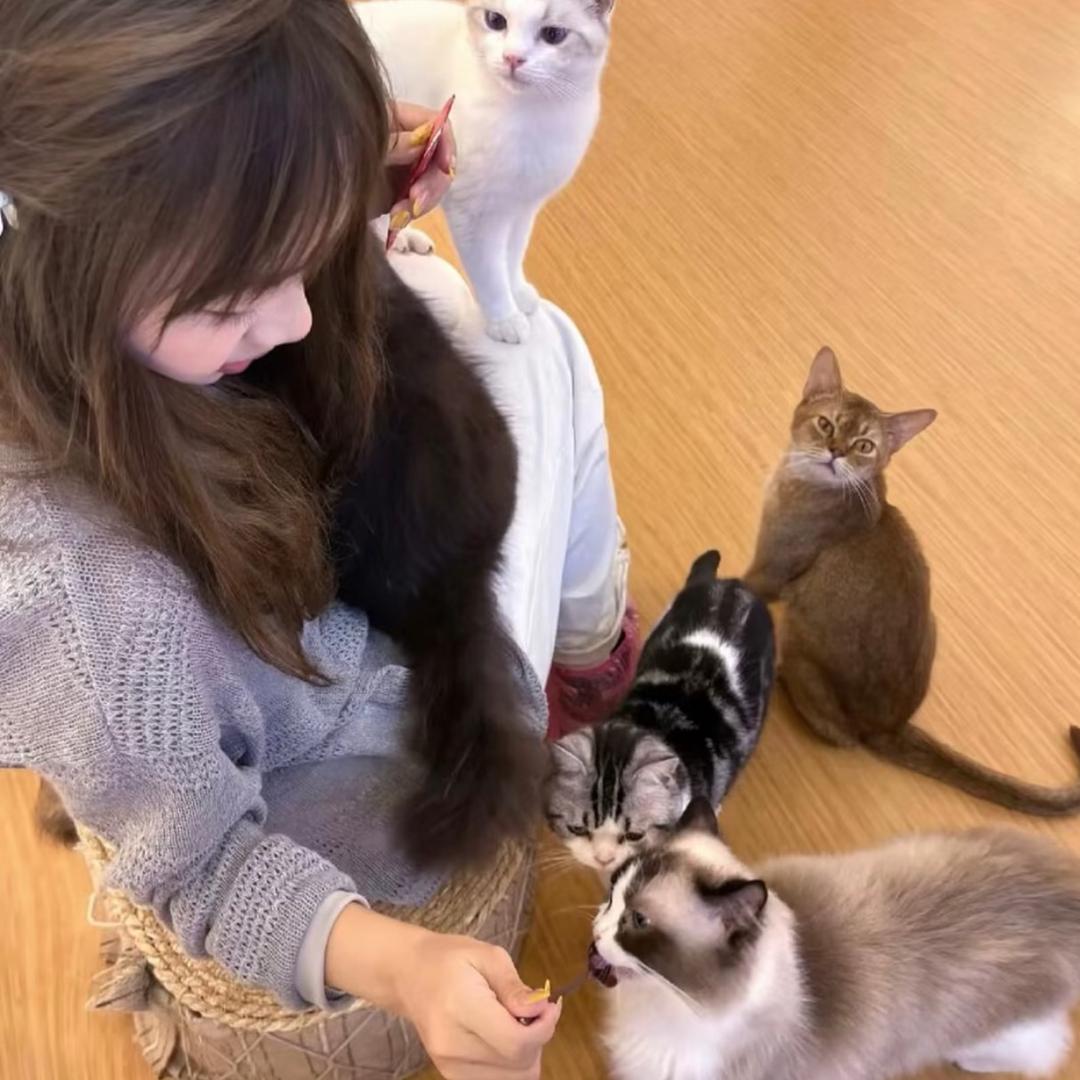 早点睡早点睡早点睡