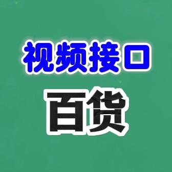 视频接口
