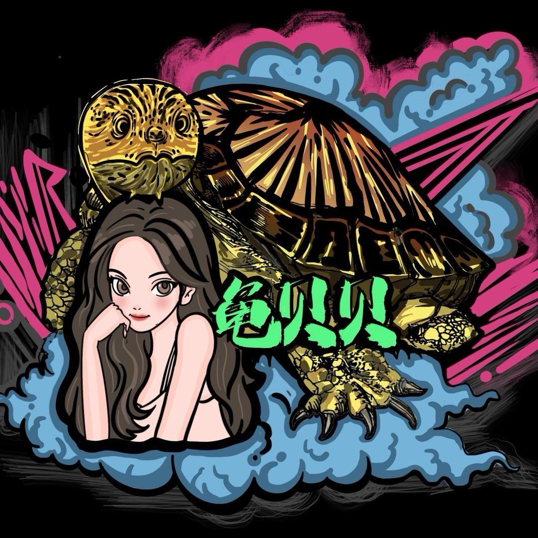 龟贝贝（收退坑）